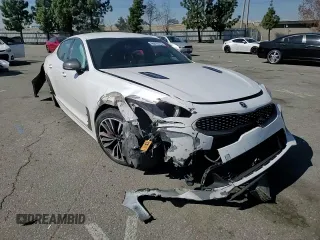 2019 Kia Stinger GT with VIN KNAE35LC9K6052417, listed as a Copart auction lot 46879775 with Not Provided miles and Salvage Title. Bid and sale history available at carsss.com. Image 11.