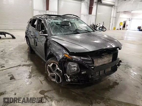 2022 Hyundai Tucson Limited with VIN 5NMJECAE1NH020573, listed as a Copart auction lot 53182945 with 108,289 mi miles and Salvage Title. Bid and sale history available at carsss.com. Image 12.