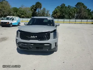 2024 Kia Telluride EX X-Line with VIN 5XYP3DGC7RG429690, listed as a Copart auction lot 48113115 with 23,690 mi miles and Salvage Title. Bid and sale history available at carsss.com. Image 11.