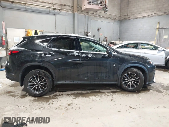 2024 Lexus NX with VIN 2T2AGCEZ5RC053557, listed as a IAAI auction lot 41340693 with 17,026 mi miles. Bid and sale history available at carsss.com. Image 13.