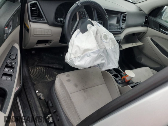 2017 Hyundai Tucson SE with VIN KM8J33A41HU436807, listed as a Copart auction lot 42100185 with 160,021 mi miles and Salvage Title. Bid and sale history available at DreamBid. Image 8.