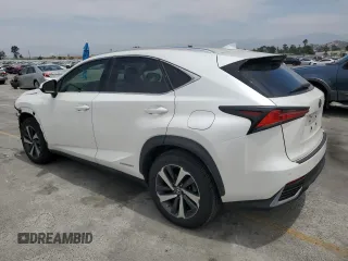 2018 Lexus NX 300h with VIN JTJBJRBZ1J2079901, listed as a Copart auction lot 58600355 with 53,233 mi miles and Salvage title. Bid and sale history available at DreamBid. Image 2.