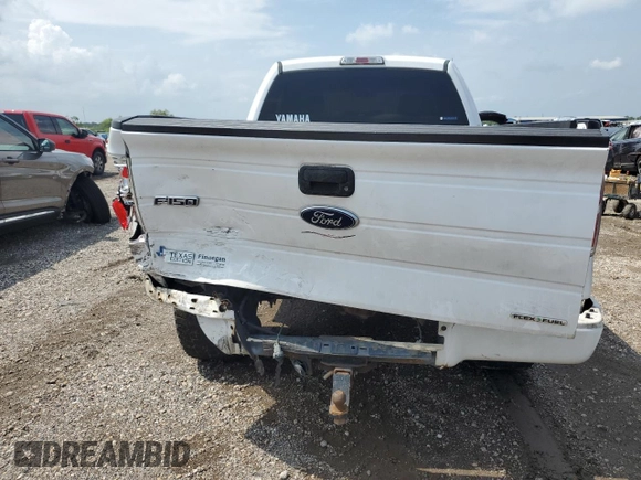 2014 Ford F-150 XL with VIN 1FTMF1CM5EKF53369, listed as a Copart auction lot 54539695 with 199,166 mi miles and Salvage title. Bid and sale history available at DreamBid. Image 6.