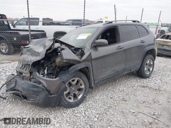 2019 Jeep Cherokee Trailhawk Elite with VIN 1C4PJMBX9KD329661, listed as a IAAI auction lot 41704933 with 1 mi miles. Bid and sale history available at carsss.com. Image 2.