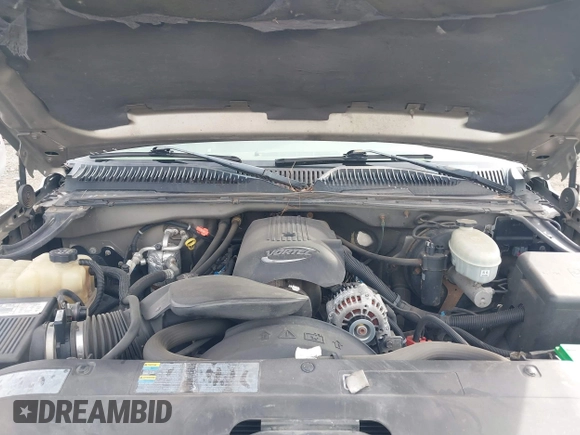 2003 Chevrolet Silverado 1500 LS with VIN 1GCEC19T23E285212, listed as a IAAI auction lot 41587343 with 249,563 mi miles and . Bid and sale history available at DreamBid. Image 10.