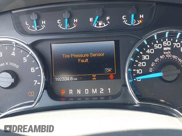 2014 Ford F-150 XL with VIN 1FTFX1CF9EFA98493, listed as a IAAI auction lot 42313850 with 192,334 mi miles and . Bid and sale history available at DreamBid. Image 15.