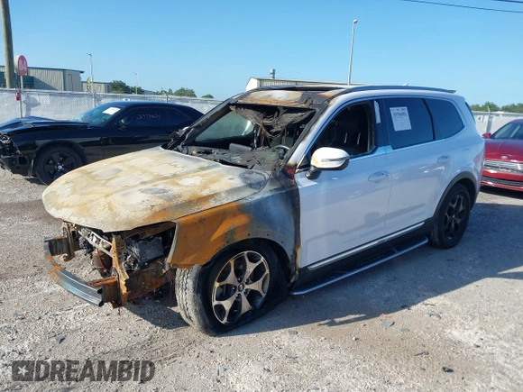2021 Kia Telluride EX with VIN 5XYP3DHC4MG164072, listed as a IAAI auction lot 39796981 with Not Provided miles and . Bid and sale history available at DreamBid. Image 2.