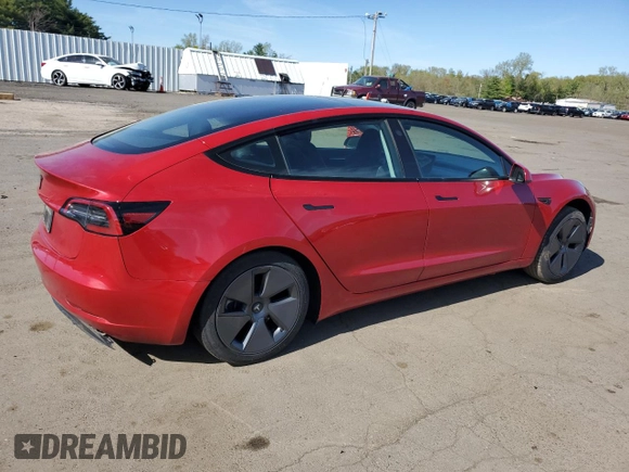 2023 Tesla Model 3 with VIN 5YJ3E1EAXPF598079, listed as a Copart auction lot 55199405 with Not provided miles and Salvage title. Bid and sale history available at DreamBid. Image 3.