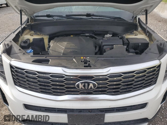 2020 Kia Telluride S with VIN 5XYP6DHC1LG004043, listed as a Copart auction lot 53561515 with 50,232 mi miles and Non Repairable. Bid and sale history available at DreamBid. Image 12.