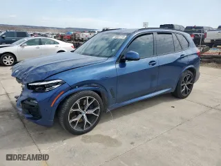 2019 BMW X5 xDrive50i with VIN 5UXJU2C5XKLN66811, listed as a Copart auction lot 48597115 with 0 mi miles and Salvage Title. Bid and sale history available at carsss.com. Image 1.