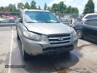 2007 Hyundai Santa Fe SE with VIN 5NMSH13E77H128941, listed as a IAAI auction lot 42641419 with 209,159 mi miles and . Bid and sale history available at DreamBid. Image 6.