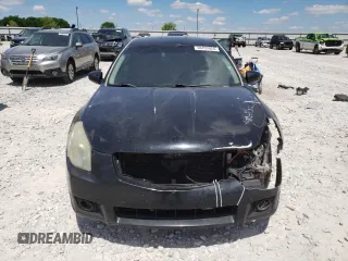2008 Nissan Maxima 3.5 SE with VIN 1N4BA41E68C809414, listed as a Copart auction lot 58455924 with 0 mi miles and Salvage Title. Bid and sale history available at carsss.com. Image 5.