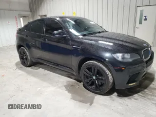 2010 BMW X6 M with VIN 5YMGZ0C52ALK13602, listed as a Copart auction lot 81732714 with 167,026 mi miles and Clean Title. Bid and sale history available at carsss.com. Image 4.