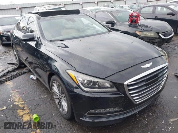 2017 Genesis G80 3.8L with VIN KMHGN4JE4HU189527, listed as a IAAI auction lot 41930400 with 135,497 mi miles and . Bid and sale history available at DreamBid. Image 1.