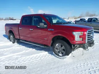 2016 Ford F-150 XLT with VIN 1FTFW1EG1GKD16719, listed as a IAAI auction lot 41494417 with 124,063 mi miles. Bid and sale history available at carsss.com. Image 1.