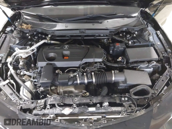 2025 Acura TLX w/A-Spec Package with VIN 19UUB6F50SA000385, listed as a IAAI auction lot 41988181 with 4,231 mi miles and . Bid and sale history available at DreamBid. Image 10.