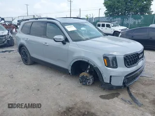 2024 Kia Telluride EX with VIN 5XYP3DGCXRG498163, listed as a IAAI auction lot 42440954 with 19,941 mi miles and . Bid and sale history available at DreamBid. Image 1.
