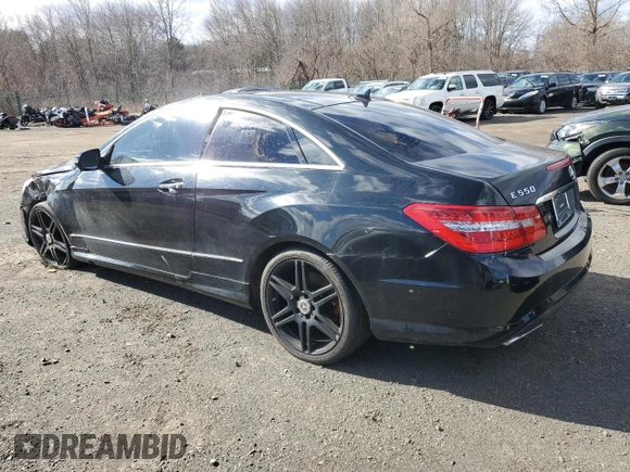 2010 Mercedes-Benz E-Class E 550 with VIN WDDKJ7CB3AF009212, listed as a Copart auction lot 48185345 with 132,734 mi miles and Clean Title. Bid and sale history available at carsss.com. Image 2.