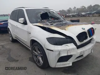 2010 BMW X5 M with VIN 5YMGY0C52ALK25509, listed as a IAAI auction lot 41227049 with 1 mi miles. Bid and sale history available at carsss.com. Image 1.