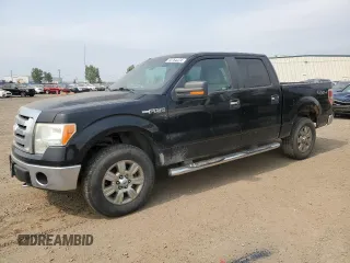 2009 Ford F-150 XL with VIN 1FTPW14V99KC88045, listed as a Copart auction lot 63764424 with 230,716 mi miles and Salvage Title. Bid and sale history available at carsss.com. Image 1.