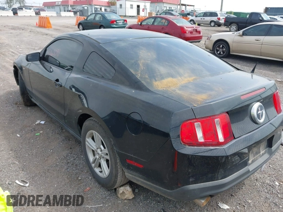 2012 Ford Mustang V6 Premium with VIN 1ZVBP8AM3C5274138, listed as a IAAI auction lot 42060091 with 228,384 mi miles. Bid and sale history available at carsss.com. Image 3.