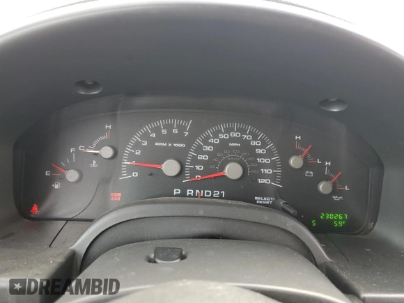 2004 Ford Expedition XLS with VIN 1FMRU13WX4LB72604, listed as a Copart auction lot 49338375 with 230,267 mi miles and Salvage Title. Bid and sale history available at carsss.com. Image 9.