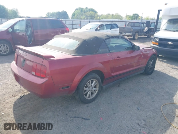 2006 Ford Mustang Standard with VIN 1ZVFT84N365190097, listed as a IAAI auction lot 42015242 with Not Provided miles and . Bid and sale history available at carsss.com. Image 4.
