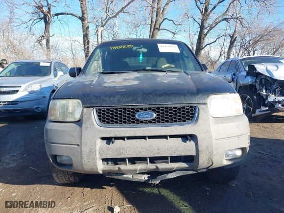 2002 Ford Escape XLT Choice with VIN 1FMYU04172KD87546, listed as a IAAI auction lot 41452834 with 241,707 mi miles. Bid and sale history available at carsss.com. Image 6.