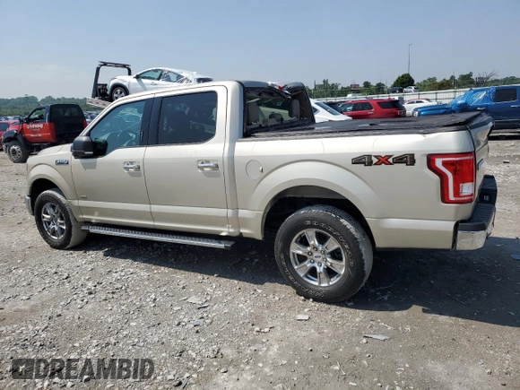 2017 Ford F-150 XL with VIN 1FTEW1EG7HFC07137, listed as a Copart auction lot 60185645 with 45,562 mi miles and Salvage title. Bid and sale history available at DreamBid. Image 2.
