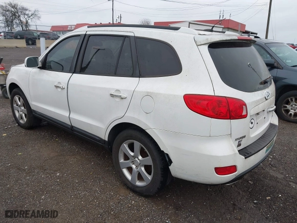 2008 Hyundai Santa Fe SE with VIN 5NMSH13E38H221411, listed as a IAAI auction lot 41907062 with 209,419 mi miles. Bid and sale history available at carsss.com. Image 3.