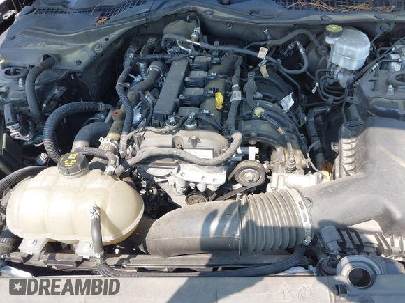 2021 Ford Mustang EcoBoost с VIN 1FA6P8TH0M5126377, выставлен на аукционе IAAI как лот 42585538 с пробегом 84 515 миль миль и . История ставок и продаж доступна на DreamBid. Изображение 10.