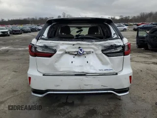 2019 Lexus RX with VIN JTJDGKCA5K2007608, listed as a Copart auction lot 43916085 with 0 mi miles and Salvage Title. Bid and sale history available at carsss.com. Image 6.