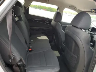 2020 Kia Sorento LX V6 with VIN 5XYPG4A5XLG629985, listed as a Copart auction lot 54002355 with 113,442 mi miles and Clean Title. Bid and sale history available at carsss.com. Image 11.