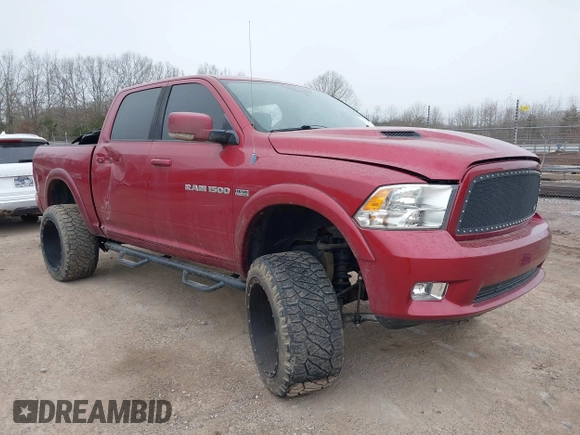 2011 Dodge 1500 SLT with VIN 1D7RV1CTXB5651217, listed as a IAAI auction lot 41424680 with 133,271 mi miles and . Bid and sale history available at carsss.com. Image 1.