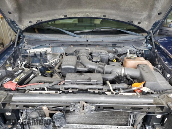 2010 Ford F-150 XL with VIN 1FTFW1EV3AKE70421, listed as a Copart auction lot 55401005 with 136,440 mi miles and Salvage title. Bid and sale history available at DreamBid. Image 11.
