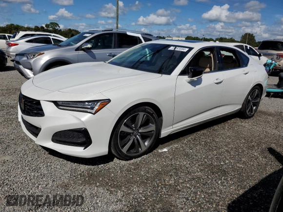 2024 Acura TLX Technology with VIN 19UUB5F45RA000538, listed as a Copart auction lot 73883594 with Not Provided miles and Non Repairable. Bid and sale history available at DreamBid. Image 1.