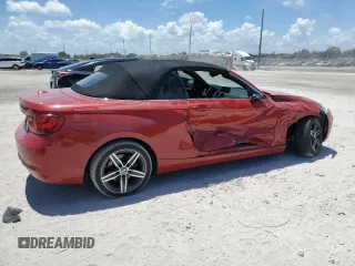 2017 BMW 2 Series 230i with VIN WBA2K9C52HV647199, listed as a Copart auction lot 61074605 with 53,876 mi miles and Salvage title. Bid and sale history available at DreamBid. Image 3.