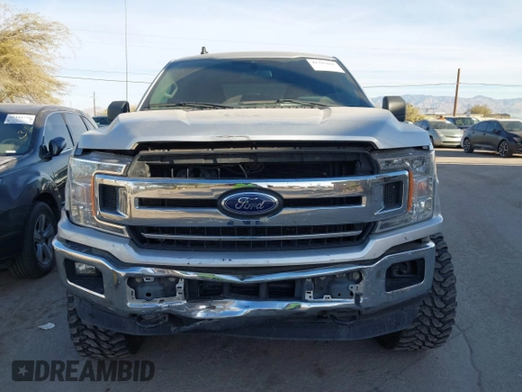 2019 Ford F-150 XL with VIN 1FTEW1E43KKE23264, listed as a IAAI auction lot 41395865 with 106,898 mi miles. Bid and sale history available at carsss.com. Image 12.