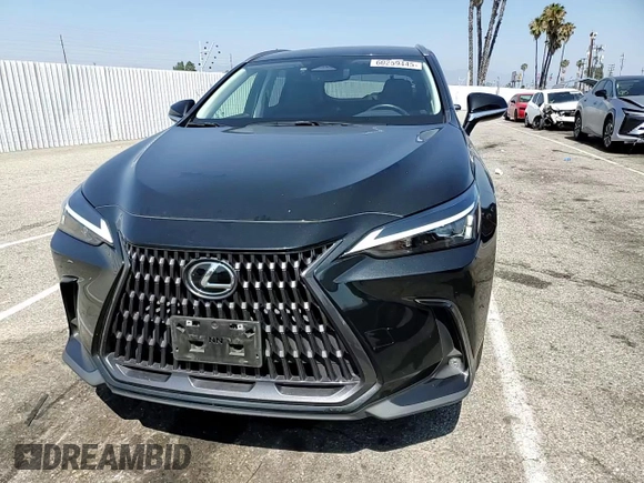 2023 Lexus NX 250 with VIN JTJADCAZ8P5013371, listed as a Copart auction lot 60259445 with 60,093 mi miles and Salvage title. Bid and sale history available at DreamBid. Image 15.