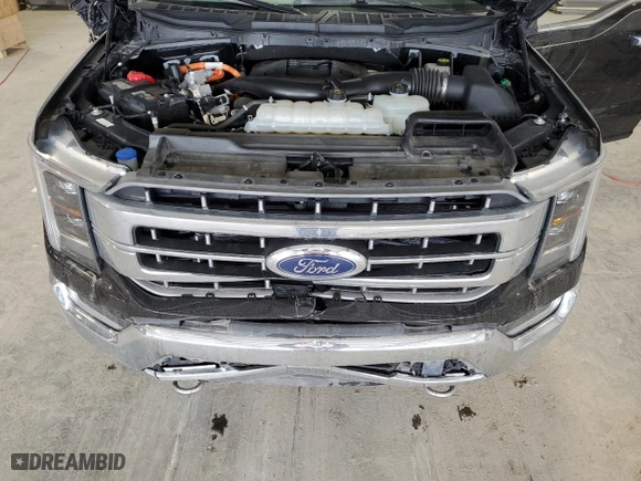 2021 Ford F-150 XL with VIN 1FTFW1ED7MFA85626, listed as a Copart auction lot 52030685 with 31,052 mi miles and Salvage Title. Bid and sale history available at carsss.com. Image 11.