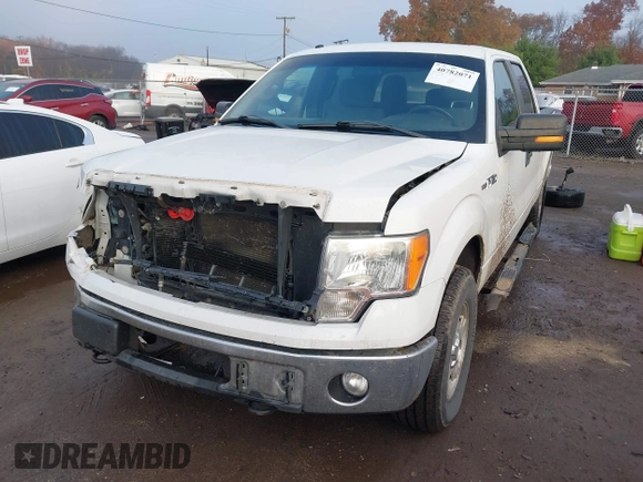 2011 Ford F-150 XL with VIN 1FTFW1EF1BFA66570, listed as a IAAI auction lot 40782071 with 155,516 mi miles and . Bid and sale history available at DreamBid. Image 17.