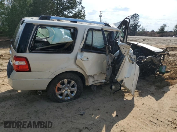 2007 Ford Expedition Limited with VIN 1FMFU19577LA46206, listed as a Copart auction lot 48800465 with Not provided miles and Salvage title. Bid and sale history available at DreamBid. Image 3.