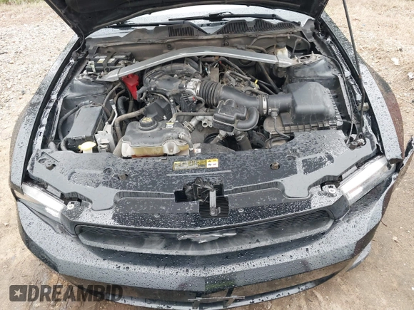 2011 Ford Mustang V6 z VIN 1ZVBP8EM7B5139351, wystawiony jako IAAI lot #42471805 z przebiegiem 80 513 mil mil oraz . Historia ofert i sprzedaży dostępna na DreamBid. Obrazek 10.