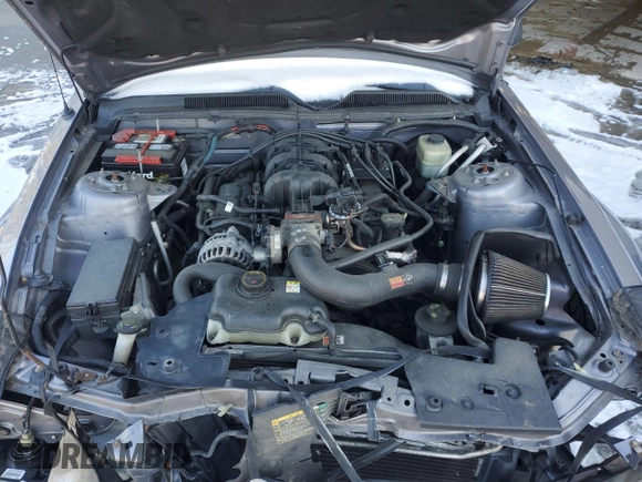 2006 Ford Mustang Standard z VIN 1ZVFT80N565227396, wystawiony jako Copart lot #43061515 z przebiegiem Nie podano mil oraz Szkoda całkowita • Salvage title. Historia ofert i sprzedaży dostępna na DreamBid. Obrazek 11.