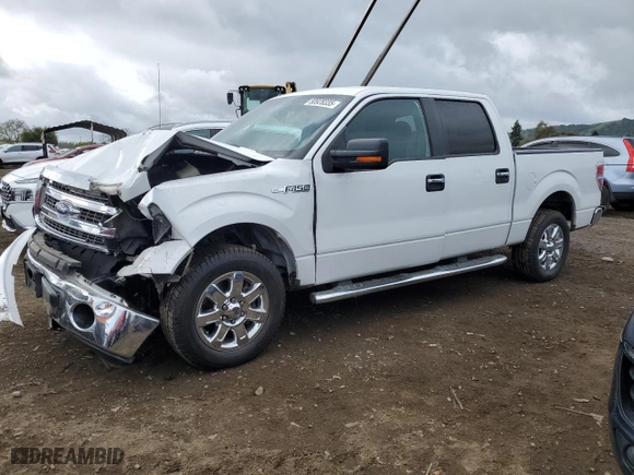2013 Ford F-150 XL with VIN 1FTFW1CF5DFD27219, listed as a Copart auction lot 50928335 with 118,025 mi miles and Salvage Title. Bid and sale history available at carsss.com. Image 1.