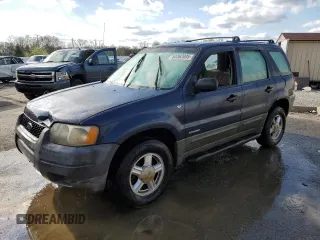 2002 Ford Escape XLS Choice with VIN 1FMYU01152KC17982, listed as a Copart auction lot 53362005 with Not provided miles and Non repairable. Bid and sale history available at DreamBid. Image 1.
