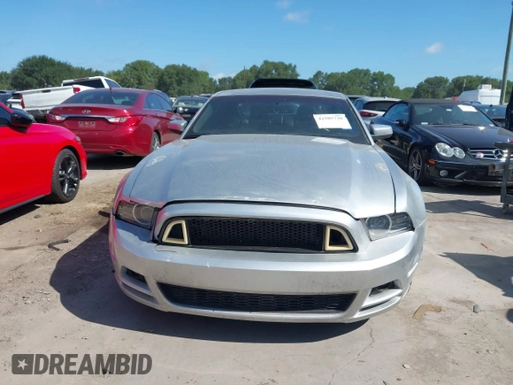 2013 Ford Mustang V6 with VIN 1ZVBP8AM1D5278884, listed as a IAAI auction lot 42507720 with 123,854 mi miles and . Bid and sale history available at DreamBid. Image 12.