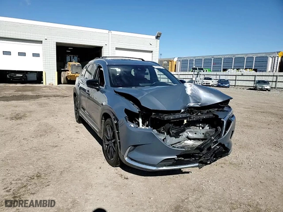 2021 Mazda CX-9 Grand Touring with VIN JM3TCBDY0M0535410, listed as a Copart auction lot 46984445 with 124,718 mi miles and Salvage Title. Bid and sale history available at carsss.com. Image 12.