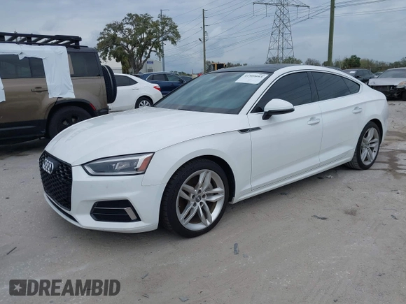 2019 Audi A5 Sportback Premium with VIN WAUANCF53KA064134, listed as a IAAI auction lot 41509093 with 1 mi miles. Bid and sale history available at carsss.com. Image 2.