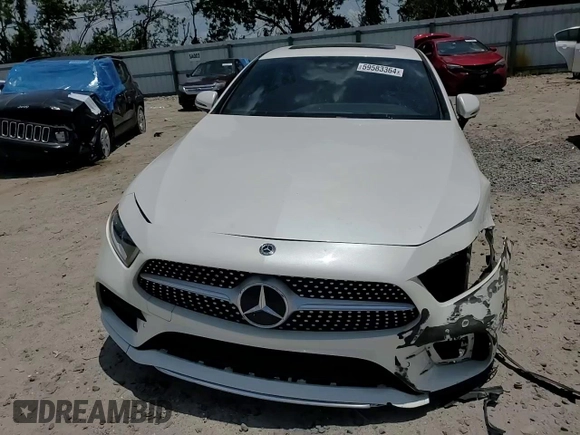 2019 Mercedes-Benz CLS with VIN WDD2J5JB9KA042138, listed as a Copart auction lot 59583364 with 49,072 mi miles and Salvage Title. Bid and sale history available at carsss.com. Image 10.